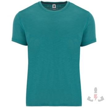 Color 041 (Tide green)